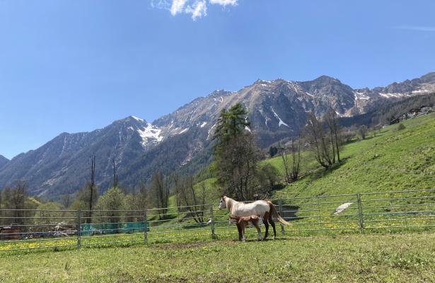 abc-vacanze en alpine-pastures-in-the-aosta-valley-la-tchavana-farmhouse-in-ayas 034