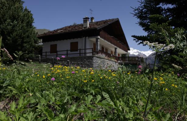 abc-vacanze en nordic-walking-yoga-and-excursions-with-marzia-in-aosta-valley 014