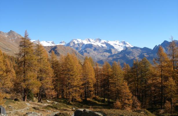 abc-vacanze en autumn-in-aosta-valley-discover-graines-castle-in-brusson 016